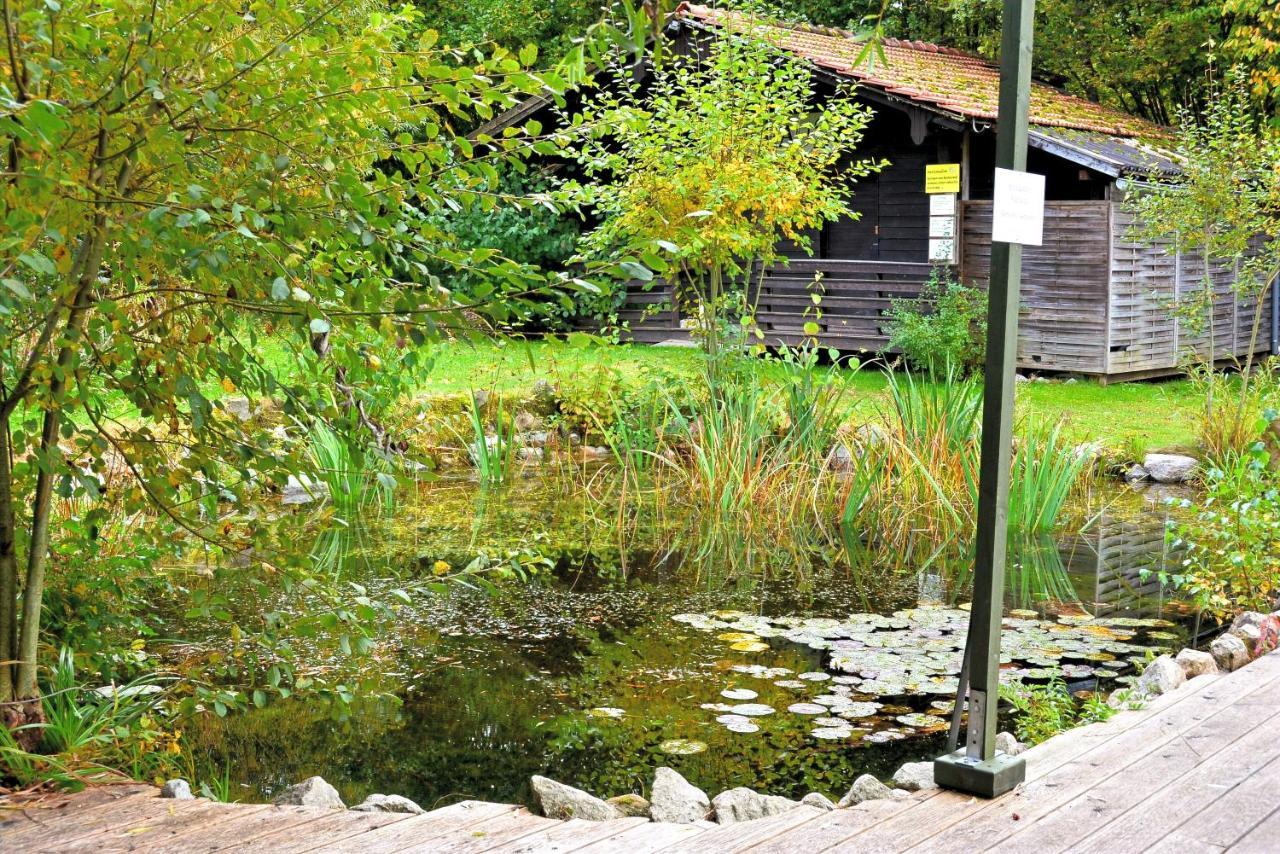 Wildgatter Ferienappartements Grafenwiesen Exterior foto